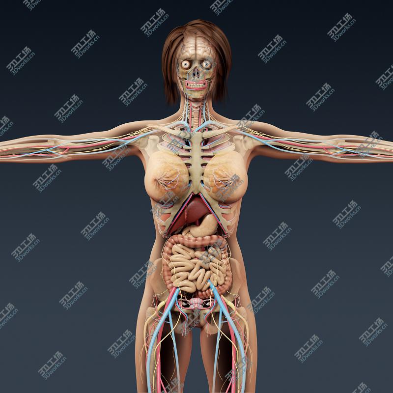 images/goods_img/20210115/3D model Lion 2 Animated (Polygonal Mane)/5.jpg